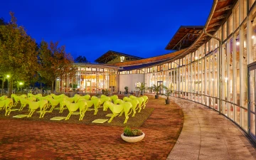 Bild Medizinische Rehadienstleistungen