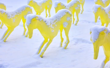 Bild Anfrage/Anmeldung zur Reha