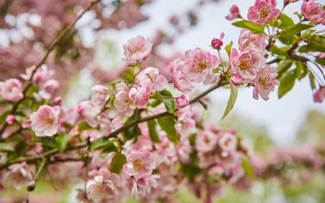 Bild Medizinische Leitung