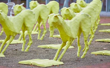 Bild Werte und Leitbild